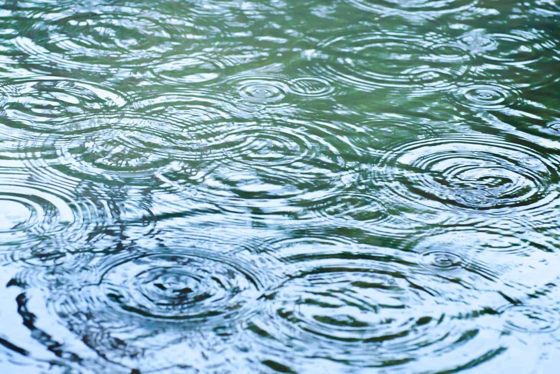 7-Generation GTB Circles of Activity 7-Generation GTB Circles of Activity