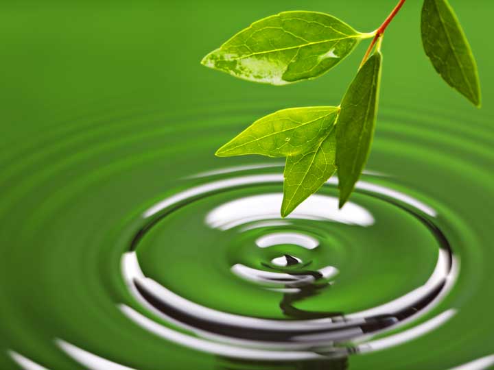 Many Drops Many Drops