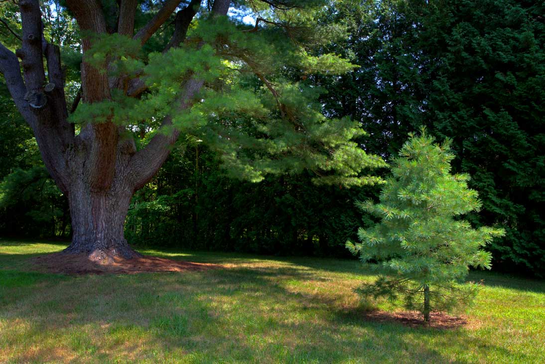 Intergenerational Intergenerational