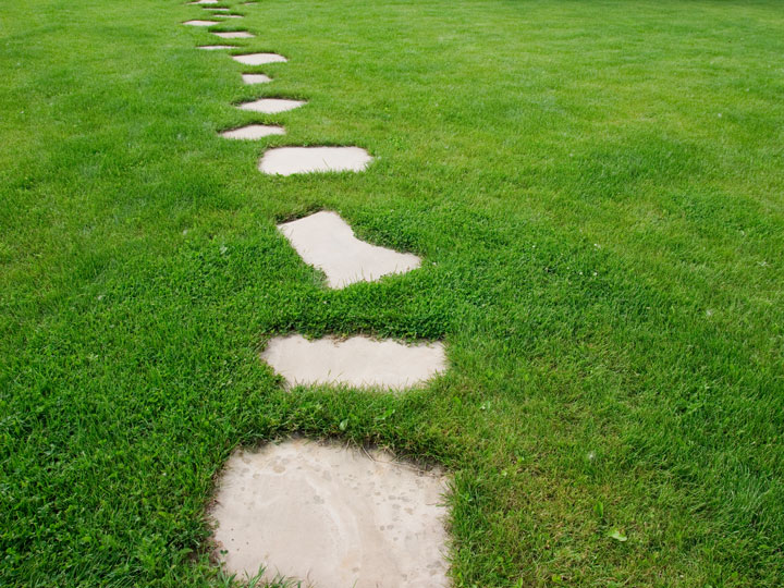 Wellbeing Path Wellbeing Path