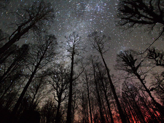 Passing Through, image © Gwendolyn Koid Passing Through, image © Gwendolyn Koid